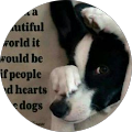 I heart dogs2